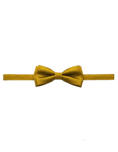 Nœud Papillon Pré-noué Pour Enfant Garçon - Classique Avec Pochette - Pour Costume, Fêtes, École